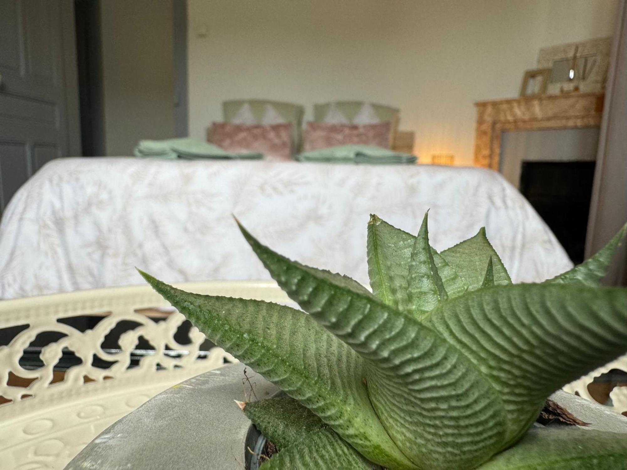 Apartment La Viarhona A Bregnier-Cordon Екстер'єр фото